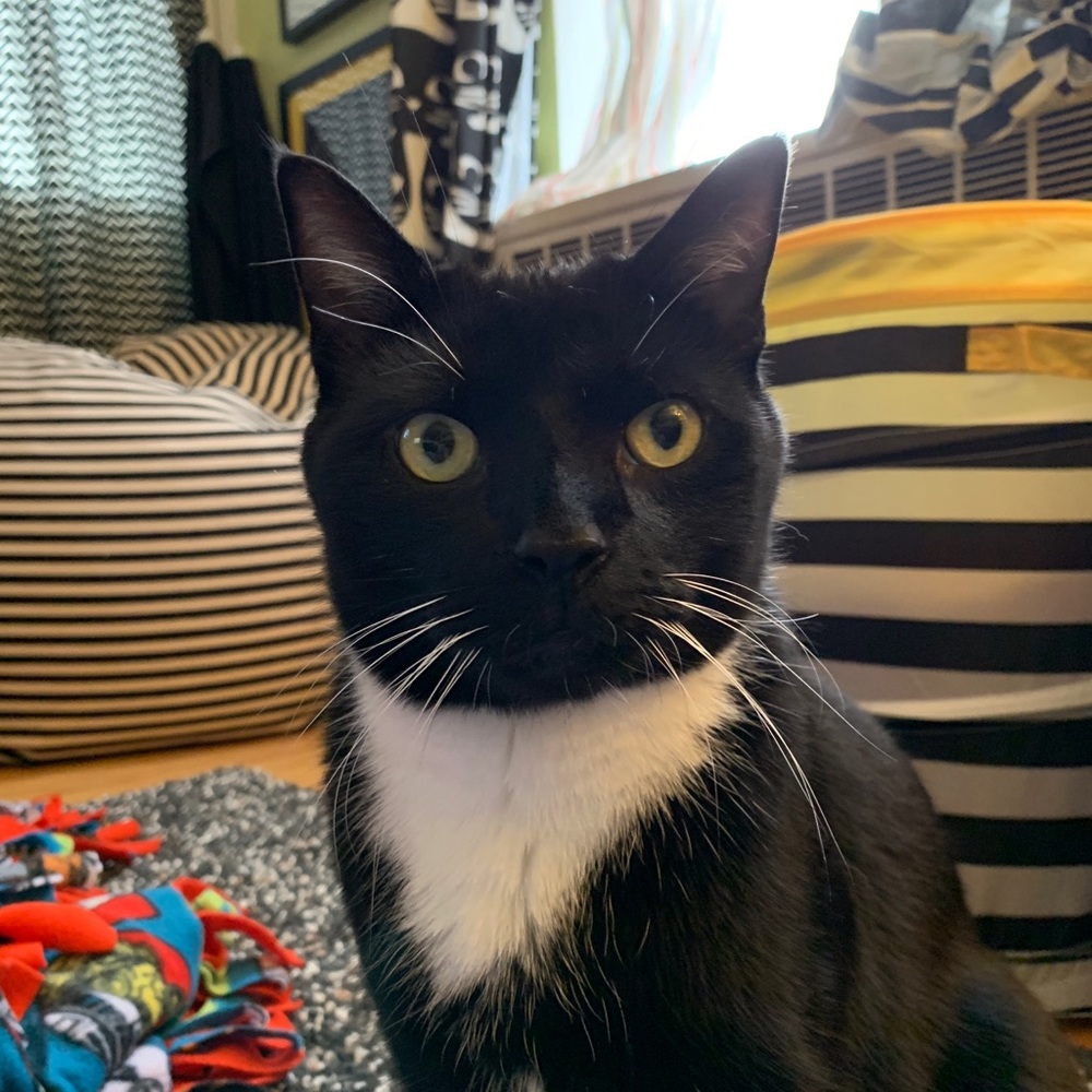 Meet your Posher, Mika